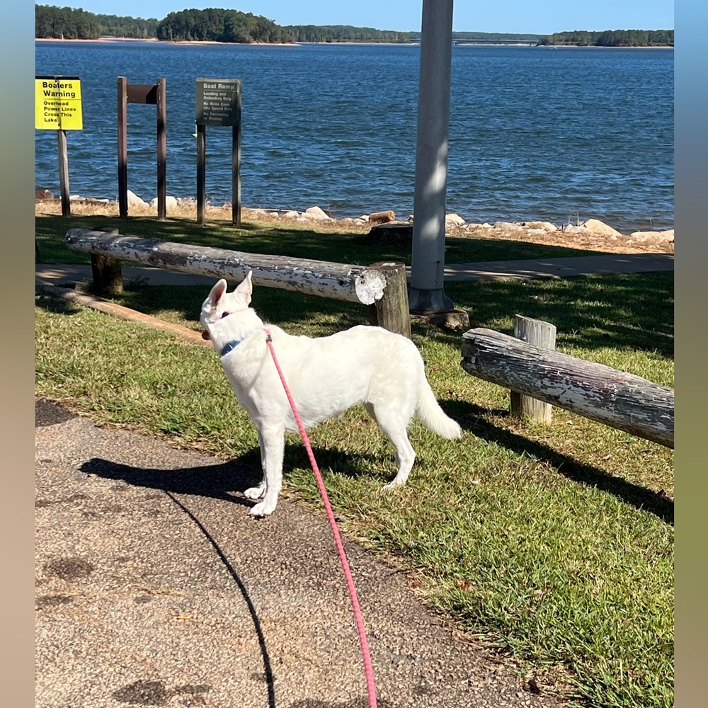 LOOKING FOR SALES! - Picture 3 of 5